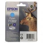 Картридж Epson C13T13024012